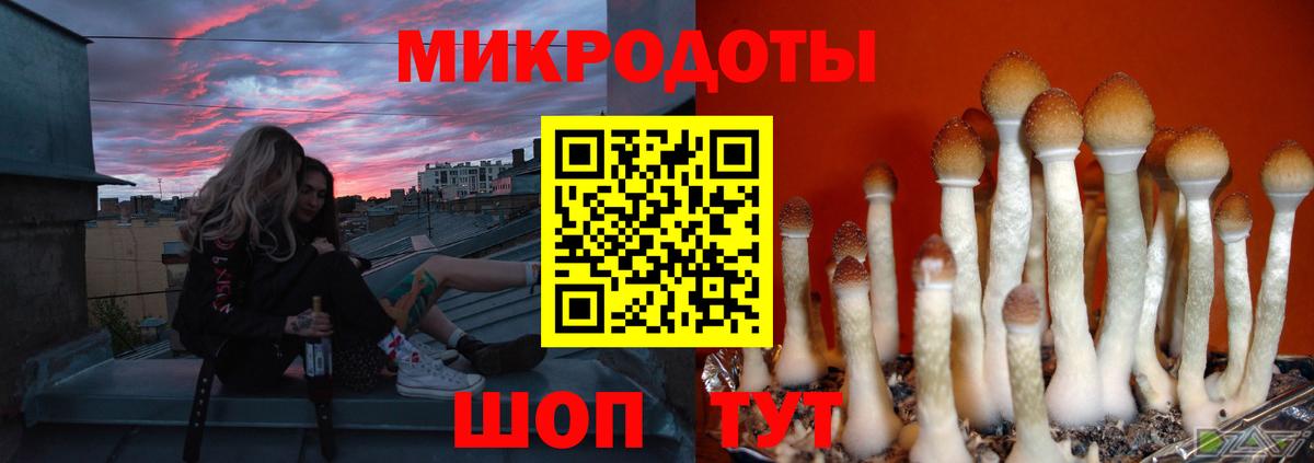 Галлюциногенные грибы MAGIC MUSHROOMS Артёмовский